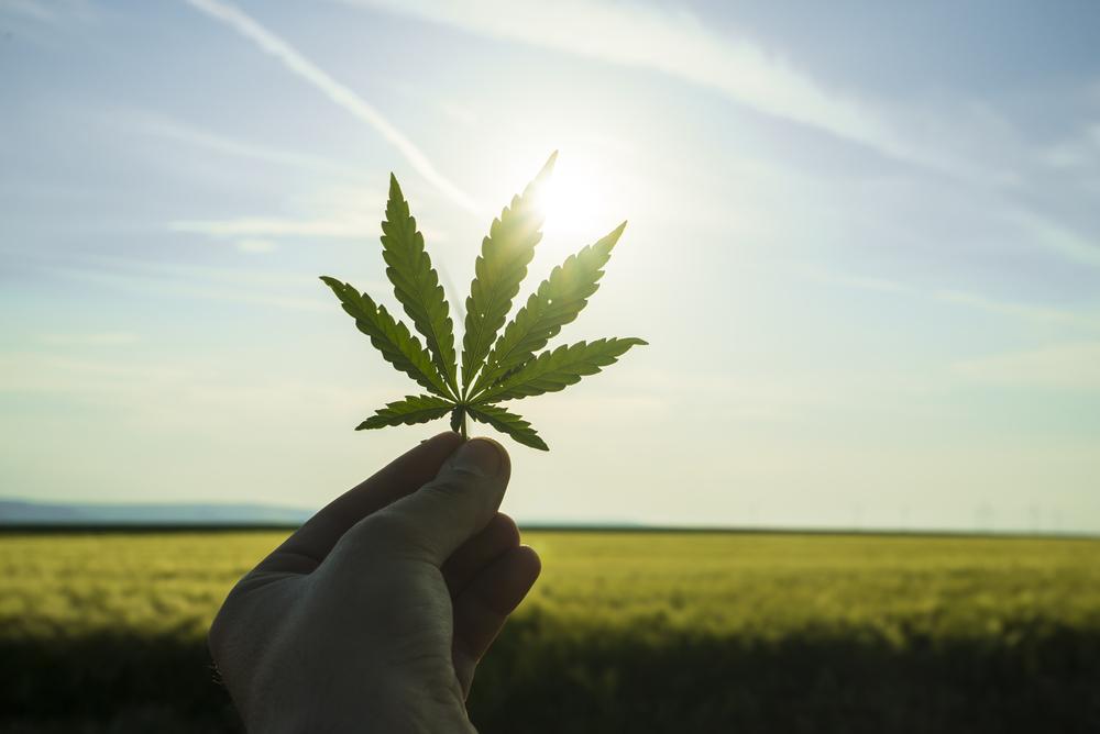 is it legal to grow your own weed in arizona