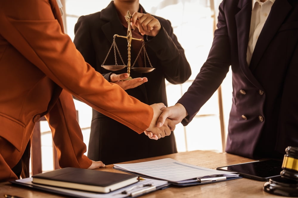 what does a criminal defense lawyer do